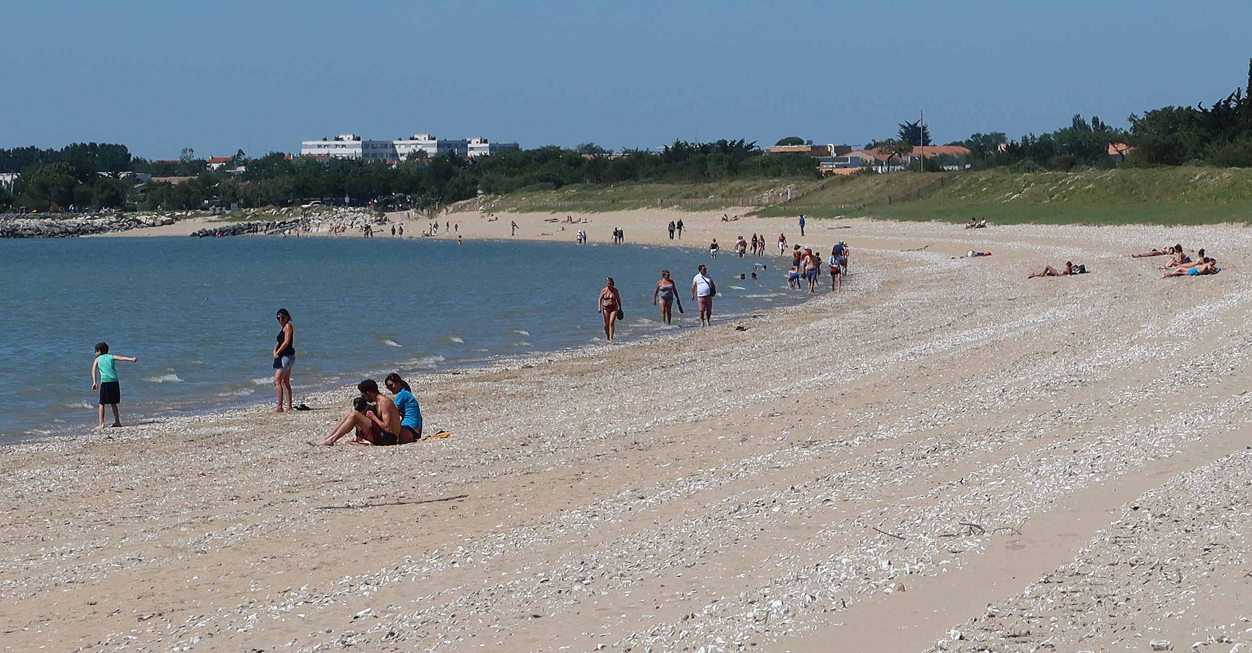 Sur la plage d'Aytré certains n'ont pas encore compris la réglementation. 