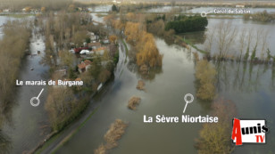 Vidéo aérienne exceptionnelle. Inondations : La Sèvre Niortaise en Charente-Maritime prend ses aises