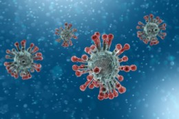 Coronavirus : l’ARS annonce 15 nouveaux cas en Nouvelle Aquitaine ce mardi 10 mars à 12h