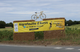 Les villages d’Aunis Sud et Atlantique se mobilisent pour le Tour de France et se parent de jaune. Le programme.
