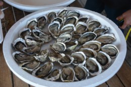 Charente-Maritime : une dégustation d’huîtres s’invite à la soirée Jazz sur l’eau