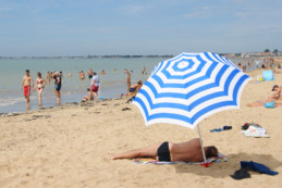 Charente-Maritime : voici les 12 plages sous Pavillon Bleu où vous baigner cet été