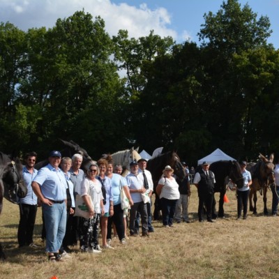 Concours national des races mulassières du Poitou ©Races Mulassières du Poitou
